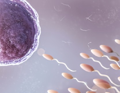 Cinsiyet Belirleme - PGT Nedir?