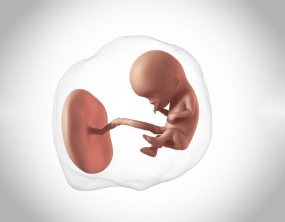 Hamilelikte Plasentanin Ayrılması Nedir?