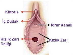 en-iyi-doktor-hangisi