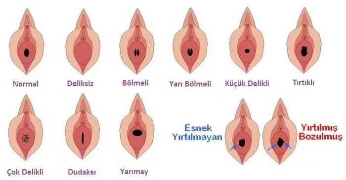 en seksi mesajlar kamuran akkor dinle