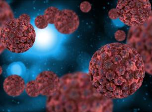 Genital Siğil Ve Hpv Tedavisi