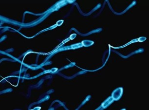 Erkek İnfertilitesi