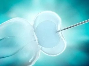 Kadın İnfertilitesi