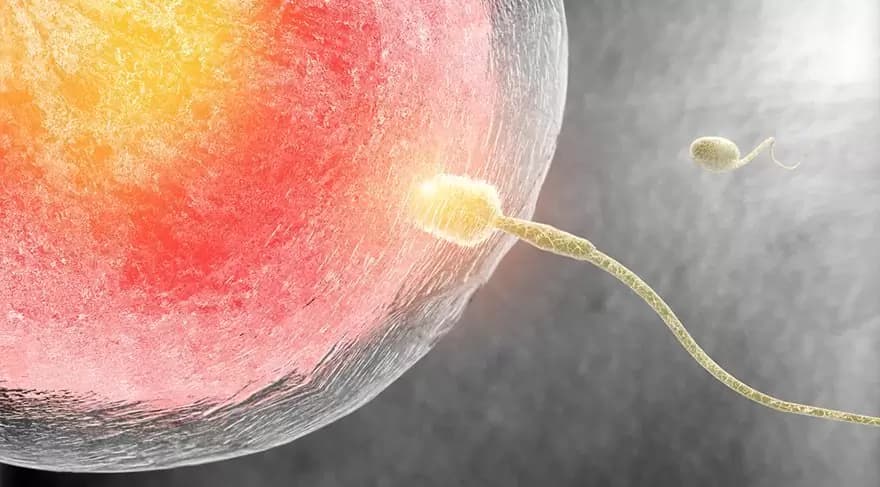 sperm-detoksu-nedir-nasil-yapilir-880x487